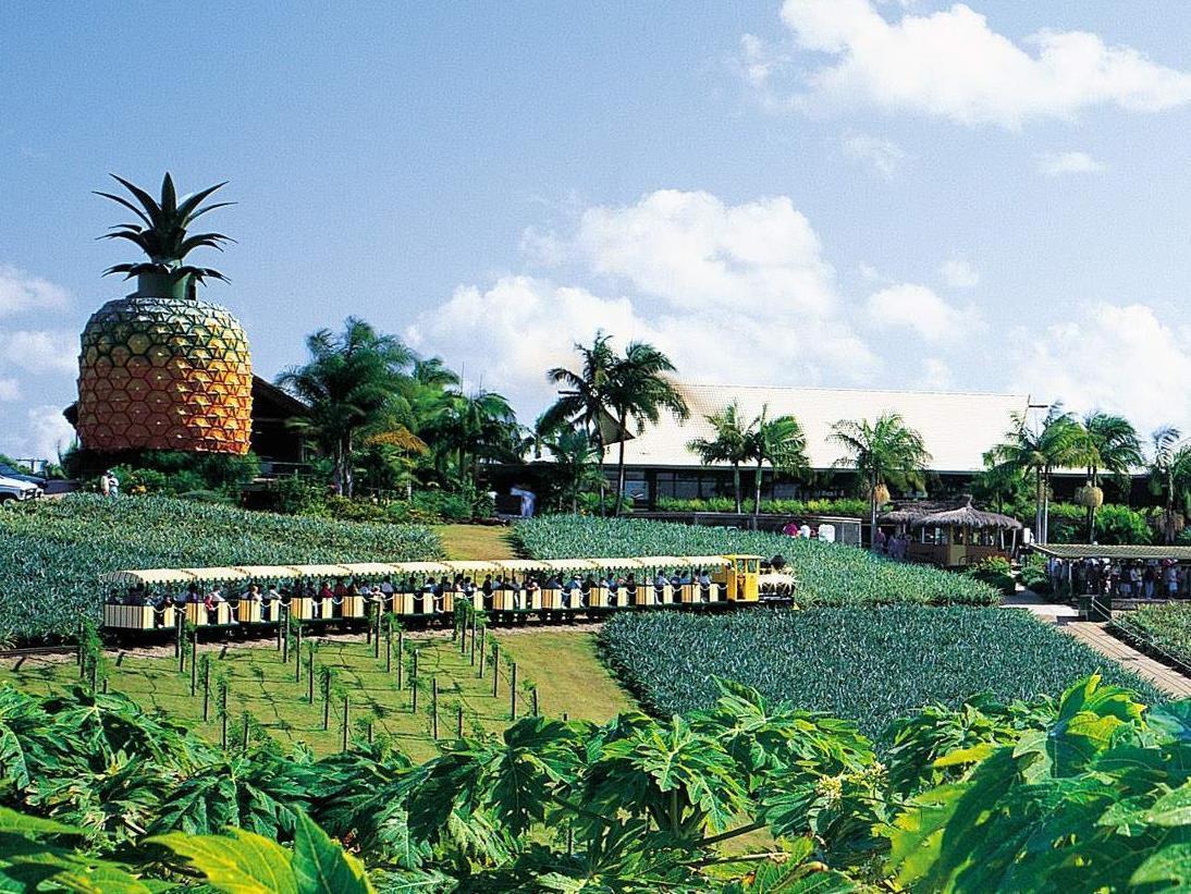 Nambour Heights Motel Экстерьер фото